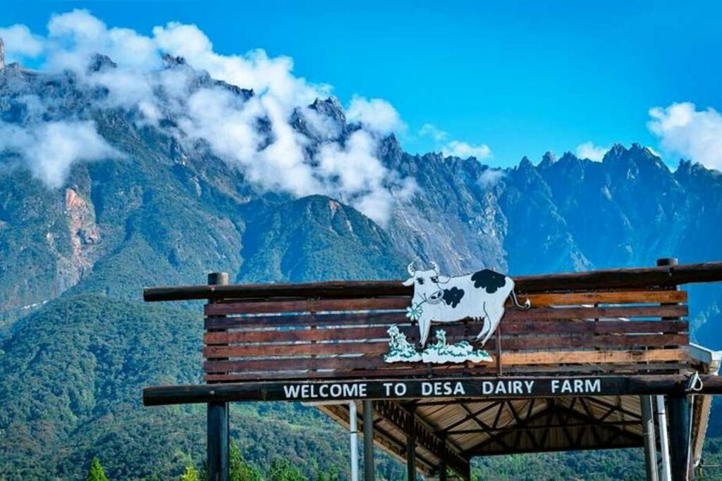 Ini Itinerari 5 Hari yang Praktikal dan Padat Aktiviti di Kota Kinabalu Sabah